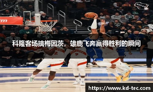 南宫28